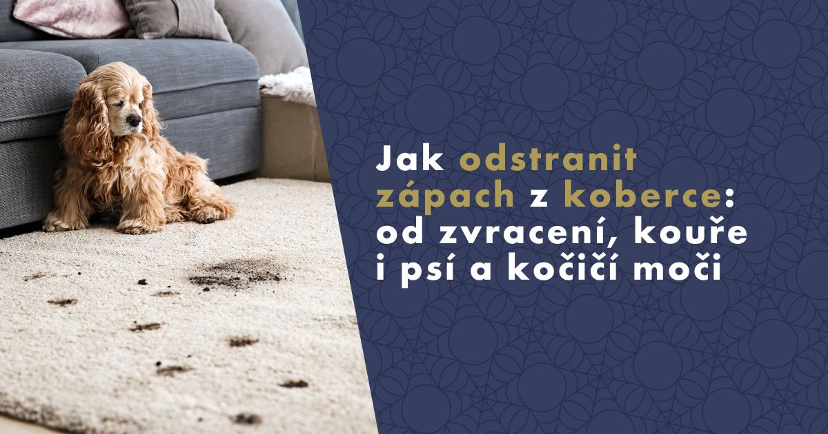 jak-odstranit-zapach-z-koberce (1)
